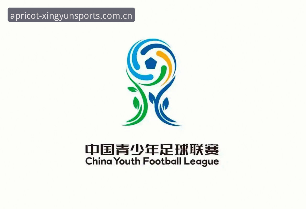 中国足球禁足名单深度解析：从行业乱象看体育赛事数据追踪实用指南